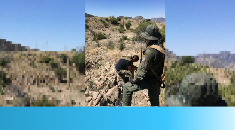 Desert Rescue