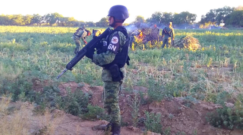 National Guard Operation