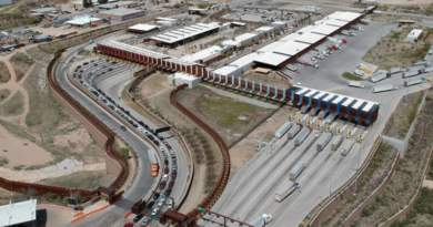 Garita Mariposa Aerea