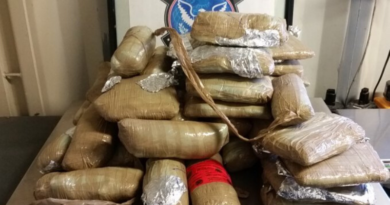 Illegal Drugs