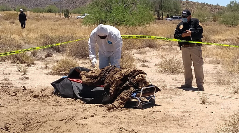 Skeletal Remains in Caborca