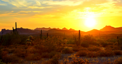 TUCSON.- An excessive heat alert was launched in the South area of Arizona with expected temperatures of up to 115 degrees Fahrenheit. 📸 Redes-The Border Reports
