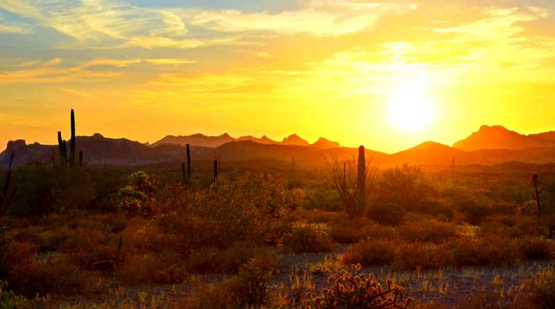 TUCSON.- An excessive heat alert was launched in the South area of Arizona with expected temperatures of up to 115 degrees Fahrenheit. 📸 Redes-The Border Reports