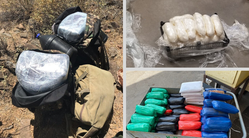 Seized Drugs