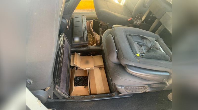 Smuggling Ammunition