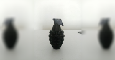 Hand Grenade Found