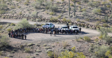 Immigrants Caught