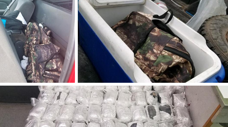 Rio Rico Drug Bust
