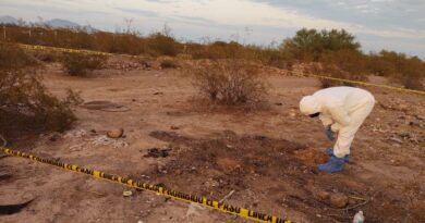 Two Bodies Found by Rastreadoras de Caborca
