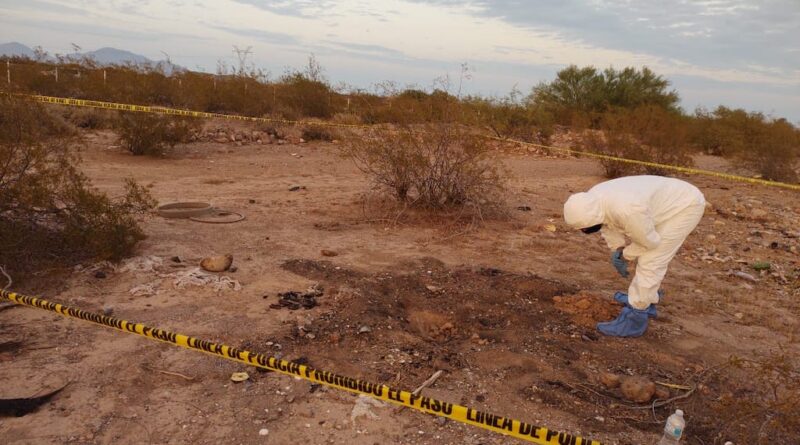 Two Bodies Found by Rastreadoras de Caborca