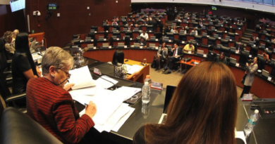 Alicia Bárcena, secretaria de Relaciones Exteriores de México.
