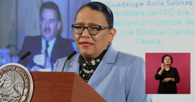 Rosa Icela Rodríguez Velázquez, secretaria de Seguridad y Protección Ciudadana.
