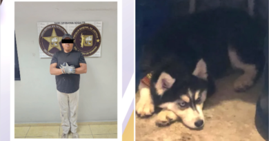Vecino mata perrita Husky en Nogales; es vinculado a proceso penal