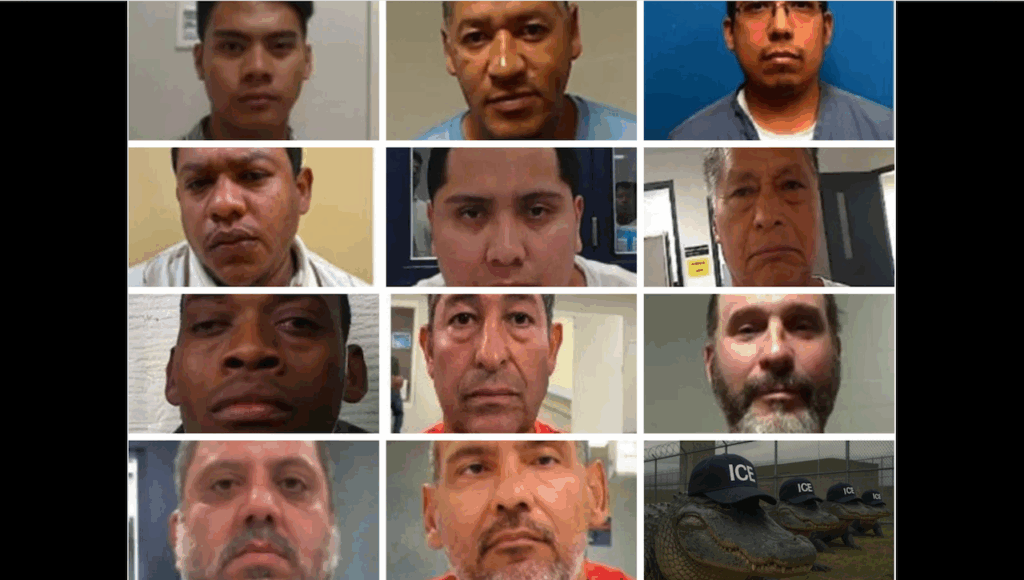 DHS exhibe detenidos que irían a Alligator Alcatraz en Florida. 📸 DHS-The Border Reports