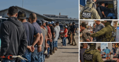 ICE arresta 84 inmigrantes en redada en establos de Louisiana. (PIC ICE).