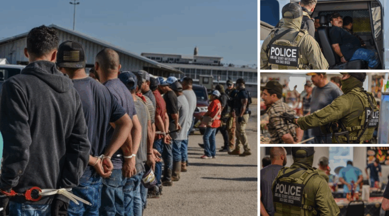 ICE arresta 84 inmigrantes en redada en establos de Louisiana. (PIC ICE).