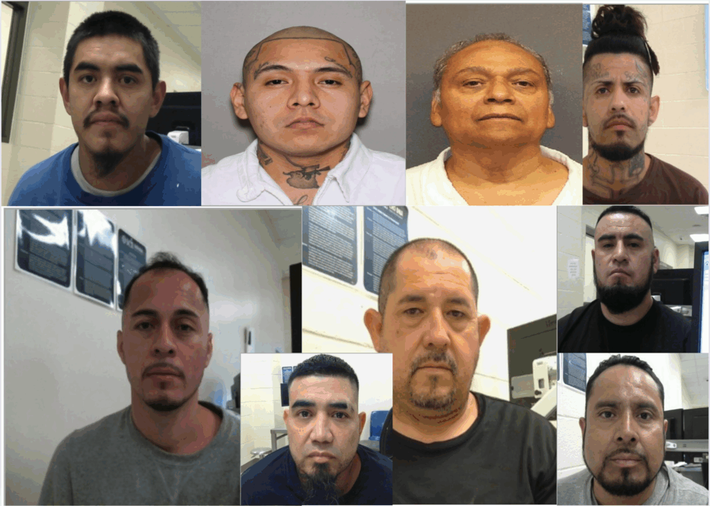 ICE deporta criminales mexicanos. (Fotos ICE).