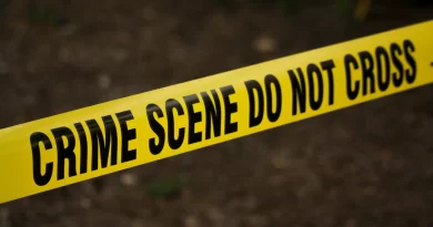 Arrestan a Renee Hudson por el homicidio de una mujer en Atlanta.📸pexels-kat-wilcox/The Border Reports