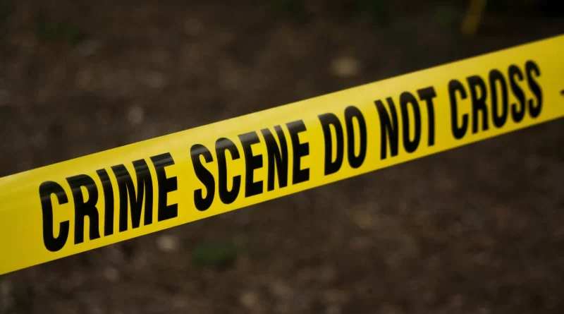 Arrestan a Renee Hudson por el homicidio de una mujer en Atlanta.📸pexels-kat-wilcox/The Border Reports