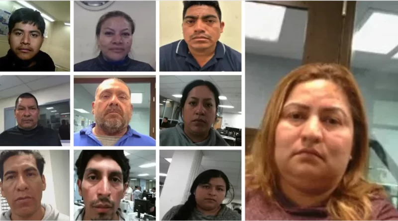DHS exhibe detenidos en la redada en plantíos de marihuana de Camarillo.📸DHS/The Border Reports