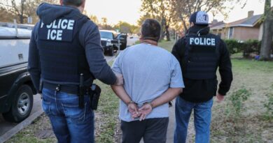 Fiscales del Distrito Sur de California procesan 81 casos de detenidos por cargos relacionados a la frontera. 📸 ICE-The Border Reports