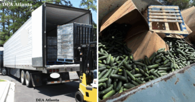 Incautan más de 700 libras de metanfetaminas ocultas en cajas de pepinos en un trailer; hispanos son detenidos. 📸 DEA ATLANTA-The Border Reports