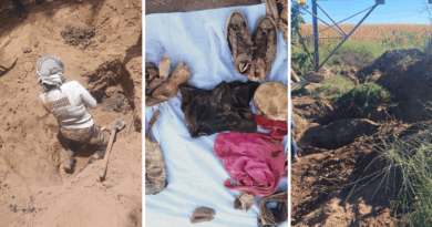 Madres buscadoras hallan narco fosa en Cajeme; de 20 a 50 osamentas.-The Border Reports