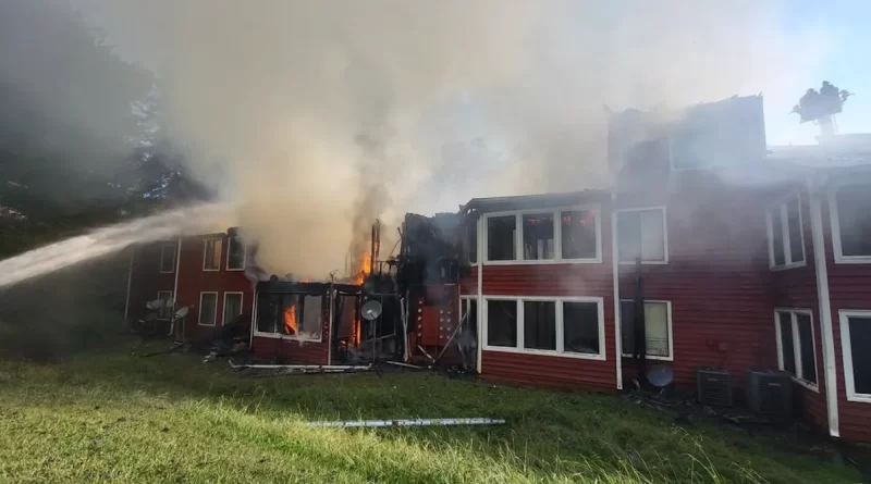 Bombero herido tras colapso de incendio en Lawrenceville, Georgia. 📸 GCFES-The Border Reports