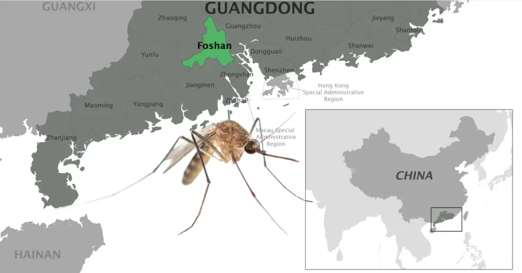 China reporta más de 7,000 casos del virus de Chikungunya; Estados Unidos emite alerta de viaje.📸 CDC-The Border Reports