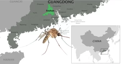 China reporta más de 7,000 casos del virus de Chikungunya; Estados Unidos emite alerta de viaje.📸 CDC-The Border Reports