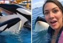 Jessica Radcliffe y el ataque de orca, ¿Realidad o fake Viral? Grok-The Border Reports