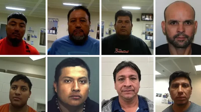 Operativo masivo de ICE deja 400 arrestos migratorios en Florida. 📸 DHS-The Border Reports