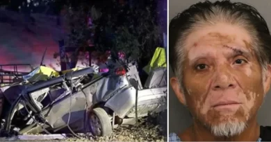 Migrante ilegal mexicano ebrio causa 6 muertes en accidente en California. 📸 ICE-The Border Reports