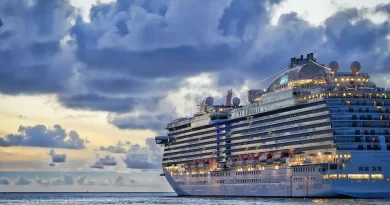 ¡Alerta! Brote de Norovirus en Crucero Serenade de Royal Caribbean. Pic.Peter-Hansen-Unsplash- The Border Reports