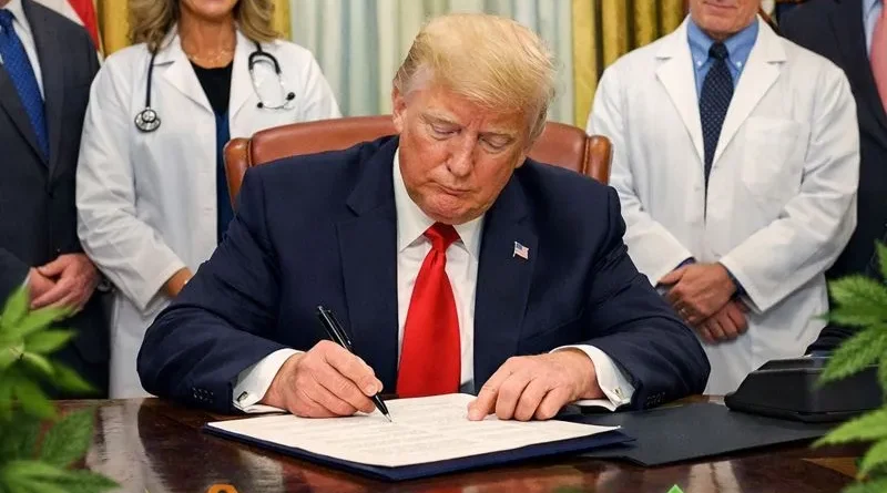 Trump firma orden histórica que reclasifica la mariguana. 📸 Ilustracion-The Border Reports