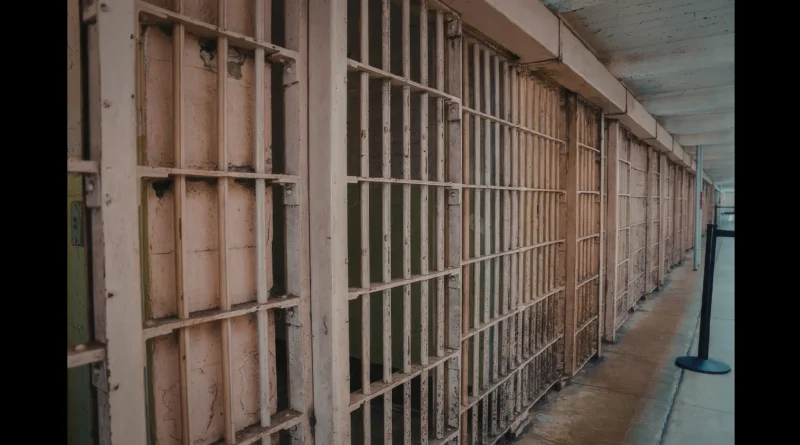 Cae operador del cártel La Nueva Familia Michoacana en Atlanta: Ocultaba fentanilo en baterías de auto. The Border Reports