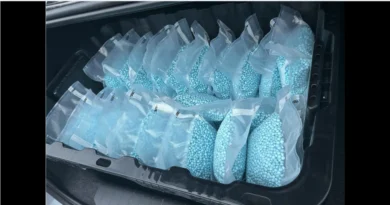 Cae "El Sticks", canadiense inundaba Tampa con pastillas letales. USDOJ-The Border Reports