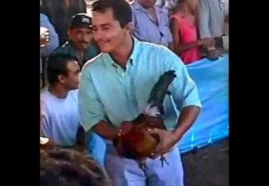 Video inédito de El Mencho del CJNG en pelea de gallos. REDES-The Border Reports