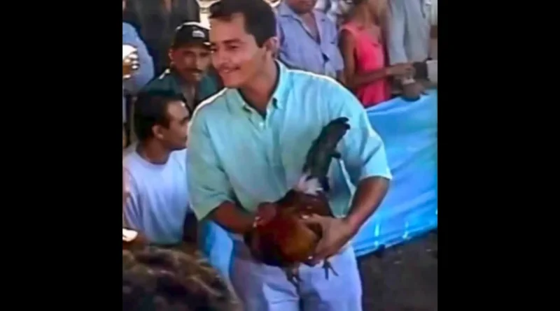 Video inédito de El Mencho del CJNG en pelea de gallos. REDES-The Border Reports