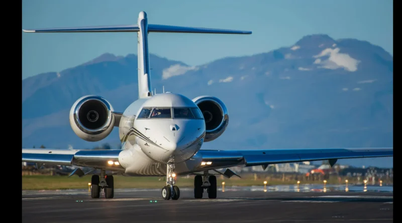 ICE despliega agentes en aeropuertos tras orden de Trump por cierre del gobierno. canva-The Border Reports