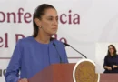 La presidenta Claudia Sheinbaum calificó como inaceptable la muerte de 13 mexicanos bajo custodia de ICE. GobMX-The Border Reports