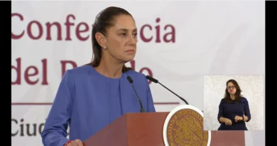 La presidenta Claudia Sheinbaum calificó como inaceptable la muerte de 13 mexicanos bajo custodia de ICE. GobMX-The Border Reports