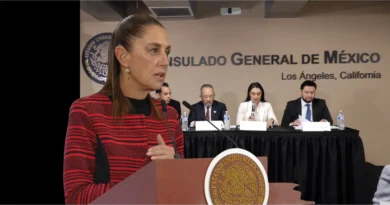 El Gobierno de México llevará ante la CIDH la muerte de 14 connacionales bajo custodia del ICE. Exigen justicia tras fallecimiento en Adelanto, California. Gob-SRE-The Border Reports