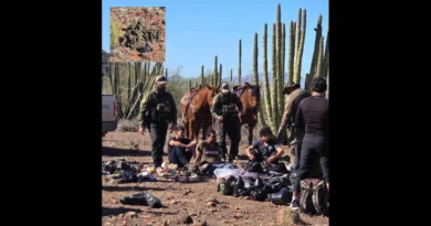 Agentes de la Patrulla Fronteriza en Ajo, Arizona, detienen a grupo de personas vestidas de camuflaje. USBP-The Border Reports