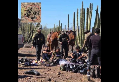 Agentes de la Patrulla Fronteriza en Ajo, Arizona, detienen a grupo de personas vestidas de camuflaje. USBP-The Border Reports