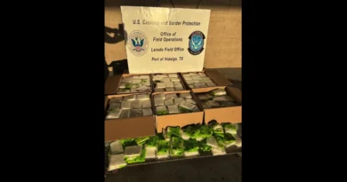 Metanfetamina-oculta-en-zanahorias-decomiso-CBP-Pharr