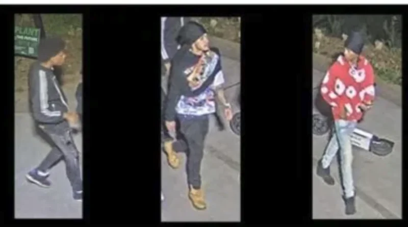 Sospechosos personas de interés tiroteo Piedmont Park Atlanta abril 2026