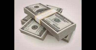 Decomiso de dinero en el Aeropuerto de Atlanta, CBP incauta más de 372,000 dólares no declarados en el Hartsfield-Jackson Oficiales de CBP Atlanta incautan miles de dólares no declarados a viajeros 2026