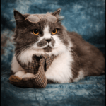 Tractor Supply Petsense