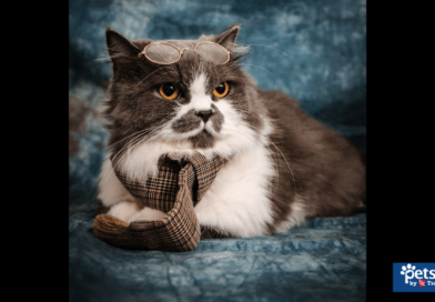 Tractor Supply Petsense